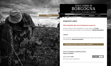 Vini e terre di Borgogna | pagina interna