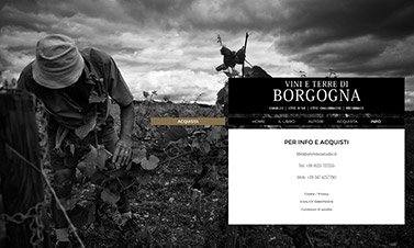 Vini e terre di Borgogna | pagina interna