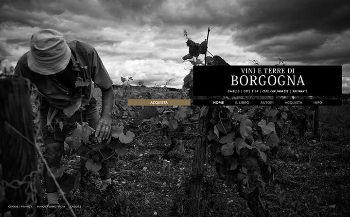 Vini e terre di Borgogna | Homepage